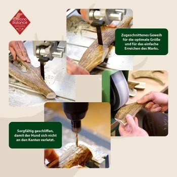 ChronoBalance Kaugeweih Damhirsch (XL) 2er Paket 4 ChronoBalance Kaugeweih Damhirsch (XL) 2er Paket – Bild 2