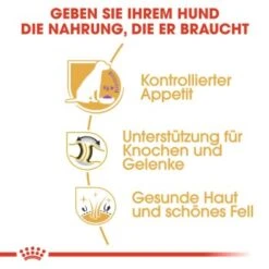 ROYAL CANIN Labrador Adult Sterilisiert 12 Kg -ROYAL CANIN Verkaufsgeschäft 318ba0ef082f19d7f189daa60ce58b5b82da72b0 0f8c00585e5d0a1ec6125a08e6f6194a30028a03