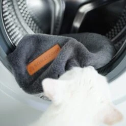 Schlitzohr Ersatzbezug Fensterbankliege -ROYAL CANIN Verkaufsgeschäft 31be77f1e399f6136043e21b4738926da0a2a857 1484678 de DE ef0a822967d19fb8fa7e91c1bd57dd978a972d89UwPMnu