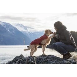 Ruffwear Overcoat™ Hundejacke Rot M -ROYAL CANIN Verkaufsgeschäft 32b81091541e421621a809b75c62062d90eca320 1369977 de DE e6611e4bd31113b7d836455a75813df21f681f8eLLYoOv