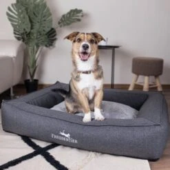 Freudentier Orthopädisches Box Hundebett Siebenschläfer M -ROYAL CANIN Verkaufsgeschäft 32de9266716854cdaed24d4e14dc10e4656a1fe7 1477909 de DE a1d3b17f0715bf9005338fd2dbe5c71fb79f4226UdMUzr