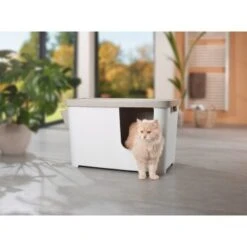 MORE FOR Katzentoilette XXL Titan -ROYAL CANIN Verkaufsgeschäft 331a65ecbdbda6a54304894f23caf93293414f9a 41a7dcb3b92b8da7531785b268f381c1b25bbf04