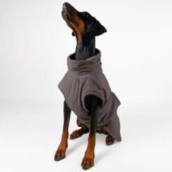 THE DOG IDEA Bademantel Every Taupe XXXS -ROYAL CANIN Verkaufsgeschäft 33db6a274662d54a120eded68cbb0084aca2ab21 1473027 de DE 66449ce0cb21357c2081b9379bf434469bb71cdf7zBVD9