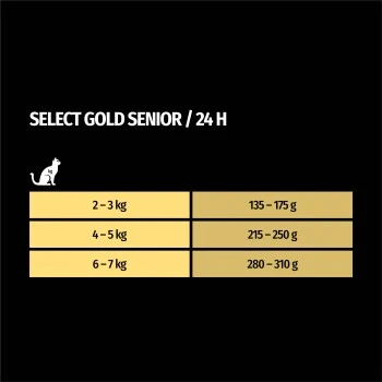 SELECT GOLD Senior +12 Huhn & Lachs 12x85 G 6 SELECT GOLD Senior +12 Huhn & Lachs 12x85 G – Bild 4