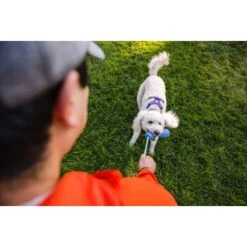 Ruffwear Gourdo™ Spielzeug S Grün -ROYAL CANIN Verkaufsgeschäft 340d5a3cda4bb7c7215d03f2d69aea1fb532027d 1639795 de DE dcb292407c796db89093f35e704145b6700aa2deFjWC0G