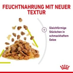 ROYAL CANIN SENSORY Smell In Gelee Für Wählerische Katzen 12x85g -ROYAL CANIN Verkaufsgeschäft 3469e2789c9f64bff26f87bbac39ba0a4ed440ea 45f33cf5dbb691236fc67f7b11a07842abb35bb4