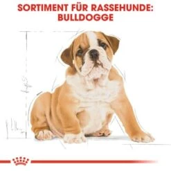 ROYAL CANIN Bulldog Puppy 12 Kg 14 ROYAL CANIN Bulldog Puppy 12 Kg -ROYAL CANIN Verkaufsgeschäft 34e445d3dc3b82e8f1e3b10f75eccfe8db50bde9 1795e31ec0325147d36ebe133b178816596eea5e