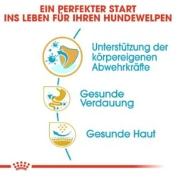 ROYAL CANIN Französische Bulldogge Puppy 10 Kg -ROYAL CANIN Verkaufsgeschäft 34ed88d56e0be1cc0a286c4ecd66a1af31d1100e 2bf488555545c9acb1d0d947f06389b7a3324357