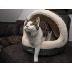 TrendPet LunaHome Kuschelhöhle Beige S -ROYAL CANIN Verkaufsgeschäft 351bdd0db0a57a6990d32cd66678b10dec8c535c 1347917 de DE 2124aa582a72113c23159899d65dd96c2982abb9Y2LaUT