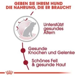 ROYAL CANIN Medium Ageing 10+ 15 Kg -ROYAL CANIN Verkaufsgeschäft 35439b8991bb238cb34fa70ccac51c3234fae357 36aa1650a1aa302f839e41250cfe840f4a638243