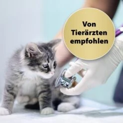 Felisept Home Comfort Set Diffusor + Flakon 45ml -ROYAL CANIN Verkaufsgeschäft 35507d0f5a85cfd5ea3b7e2e39231b06ca113304 1667495 1