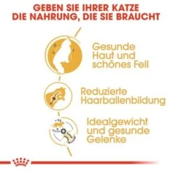 ROYAL CANIN Norwegian Forest Adult 10 Kg -ROYAL CANIN Verkaufsgeschäft 35f747f3a246ac1026c8b21a4d6b84d72541816d 27437237589f91031e5751991c906b563ce7ae1f