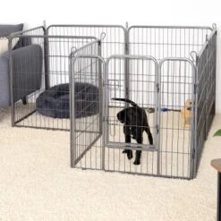 Lionto Freilaufgehege Welpen Gitterfreil 60 Cm, 1 Cm, 80 Cm 15 Lionto Freilaufgehege Welpen Gitterfreil 60 Cm, 1 Cm, 80 Cm -ROYAL CANIN Verkaufsgeschäft 36b609c51e916046b581efda5ea6811e2c829bd8 1498016 de DE 794da90c9076c5cc9e9eae67a633691d7c219be8EE6Vlo