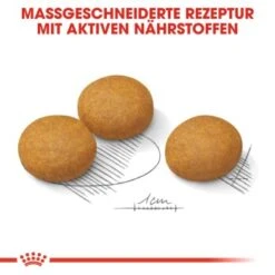 ROYAL CANIN Dermacomfort Maxi 12 Kg -ROYAL CANIN Verkaufsgeschäft 374b27f3da451fce8be3c7bc6d0990b58088e8da 1376168 de DE aosa 7