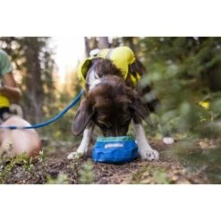 Ruffwear Trail Runner™ Napf 17 Ruffwear Trail Runner™ Napf -ROYAL CANIN Verkaufsgeschäft 379fe16a7a50c8e71290f739965451bab58f5404 1651571 de DE cc80a2ec211d680722d58d483cd6e35959c0ef22Kohbda