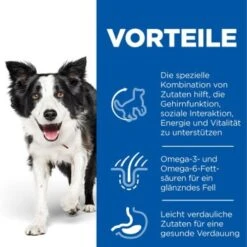 Hill's Science Plan Senior Vitality Medium Mature Adult 7+ 14 Kg -ROYAL CANIN Verkaufsgeschäft 380d3b47e471ea8f2344a64f11a9d054a5d49ab3 52742026107 4