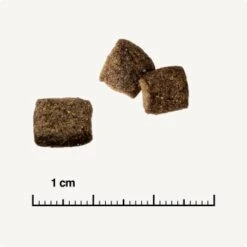 REAL NATURE WILDERNESS Adult Mixpaket Mixpaket 1, Mix-Pack -ROYAL CANIN Verkaufsgeschäft 38c9fddfde6e364977836a7419845bd5679c428a 1267097 de DE 6 savannah 1173938004