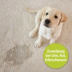 Bactador Geruchs- Und Fleckenentferner Spray 750 Ml 9 Bactador Geruchs- Und Fleckenentferner Spray 750 Ml -ROYAL CANIN Verkaufsgeschäft 3935862fb20b58a92134b7c0768036e5b8c5302d 1291080 de DE Bactador 2