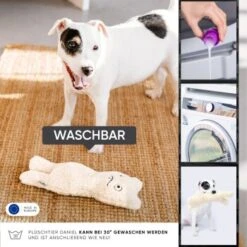 Freudentier Nachhaltiges Hundespielzeug Daniel -ROYAL CANIN Verkaufsgeschäft 399eb762da5db839e1d54b11a980f1adc24ffa3a 1408970 de DE 4fae29de579b316485a3de702f2c6d8ee3ac7b4f8TlZcj