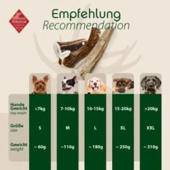ChronoBalance Geweih Ganz (L) 2er Paket -ROYAL CANIN Verkaufsgeschäft 3af42459689a70b0810cc72bbff9c4db0a205e81 1418692 de DE 4d92c5e784cdd8d6b1d665763cb1e2f4941e0be4j1XBVu