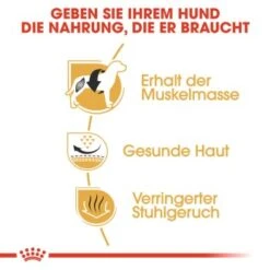 ROYAL CANIN Französische Bulldogge Adult 9 Kg -ROYAL CANIN Verkaufsgeschäft 3bd4ba1c987a0bad2d63e017fefb9a6a0e04ff1d f46cfcd28b4bf79ae86735da4bc649ba59405c77