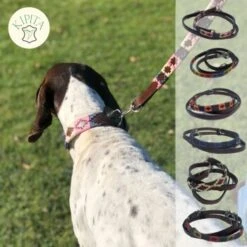 Kipita Polo Hundeleine Gentle -ROYAL CANIN Verkaufsgeschäft 3c22838a79bc7af3474895a7e8e5a18eca0d8450 1410958 de DE 94785adc580a93927e4b0cb51b07c4918be085d8mZuHLN