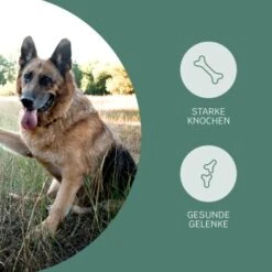 Mammaly Happy Hips 110g -ROYAL CANIN Verkaufsgeschäft 3c8bff51a0475eda30226950bbfaf91b8c4d5bf4 1472886 1 3