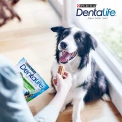 DentaLife PURINA Hunde Zahnpflege-Snacks Großpackung Medium, 84x 11 DentaLife PURINA Hunde Zahnpflege-Snacks Großpackung Medium, 84x -ROYAL CANIN Verkaufsgeschäft 3d22bf74a99660236ce1548620fac8aa3ac8818f 7dac1d18ca011066644ad899fee9fa3bcb5974f5