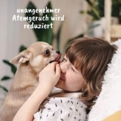 DentaVet Gel 25ml -ROYAL CANIN Verkaufsgeschäft 3d907ec5674616c9e86440a8be785f9a2110275a 1667843 de DE d1fc59c1732a26ecfdb5efbb70158acd6ac06117LB92m4