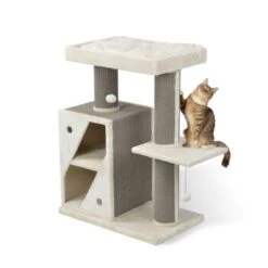 MORE Kratzbaum Edward -ROYAL CANIN Verkaufsgeschäft 3dbf59e3cce477fabe3045964c3b31542fd34f93 a301cd96a03fc3e3e31f0cea97769d1447bd4627