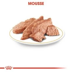 ROYAL CANIN Yorkshire Terrier Adult Mousse 12x85g -ROYAL CANIN Verkaufsgeschäft 3dc1d02b6f98bc7b994d95fac6cba48ad259f649 1239182 de DE rc 1