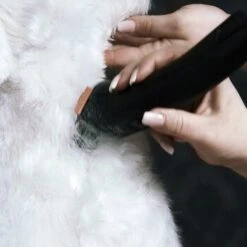 Moser Schermaschine Arco Pro -ROYAL CANIN Verkaufsgeschäft 3e5298b3656d28f017bce510a0e1de7f397c869d 116095204b214f2dcd4eabf0f13676dba14e1568