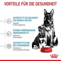 ROYAL CANIN MAXI Starter 15kg -ROYAL CANIN Verkaufsgeschäft 3f492eb193a7d2aa85c8c44a42e2b9f200c7c02c 1044296 de DE royalcaninwb3