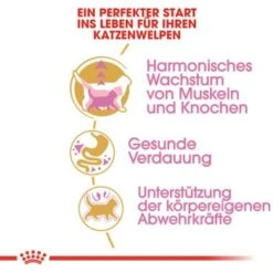 ROYAL CANIN British Shorthair Kitten 2 Kg 13 ROYAL CANIN British Shorthair Kitten 2 Kg -ROYAL CANIN Verkaufsgeschäft 3feab8717345fb55fe890c564cd1933a92234494 8fcb8d730ecfafe8fb567de5d1188cbf674cf65f