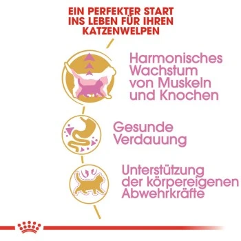 ROYAL CANIN British Shorthair Kitten 2 Kg 7 ROYAL CANIN British Shorthair Kitten 2 Kg – Bild 5