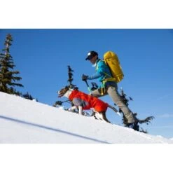 Ruffwear Furness™ Hundejacke Grau S -ROYAL CANIN Verkaufsgeschäft 4087147dd56ca23b69da19a23095df2e3fcf8a0d 1639614 de DE 93126a293d8b745c831f949261942ce96e13bb7etLLUVR