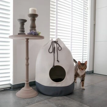 District 70 Höhle Casa Grau 5 District 70 Höhle Casa Grau – Bild 3