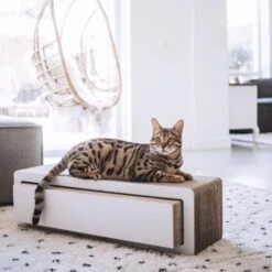 District 70 STRETCH -ROYAL CANIN Verkaufsgeschäft 40ba15f27d0de5b2ed79947a776f717623121c9e f8f928c41bc77204b8201f53652812c0de3e651b