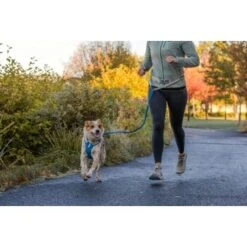 Ruffwear Hi & Light™ Geschirr Blau XXXS -ROYAL CANIN Verkaufsgeschäft 41aa9c4a00fe4c7bd677e6ccec31c531dc5ce87b 1453085 de DE 6db29b23f729dce2900a7bb6a5d18331bf1f96e6Lf19bE