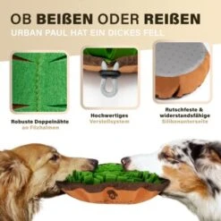 URBAN PAUL Schnüffelteppich - Grün -ROYAL CANIN Verkaufsgeschäft 41b69e30147446053fcf1ef3a5c0ef4e586c3637 1477263 de DE f3d4dc055420076a5d6665754e59033e977ead92pVbA3s