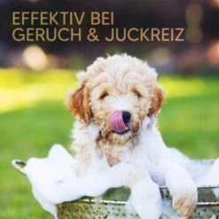 Pawlie's Welpenshampoo -ROYAL CANIN Verkaufsgeschäft 42f9c58257fb2002e5c33c2d81bd829c9adeb1cc 1626204 de DE 8b17d3990cf88ea437c76c60b6848183bc9636a5a44ihJ