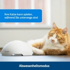 PetSafe Automatisches Katzenspielzeug Fox Den -ROYAL CANIN Verkaufsgeschäft 436796eddc653fbc5ba6c19e00138d58f340ef52 1351524 de DE 2c07966cfa5d20e79e732d930dea56115af33e3axxjuix