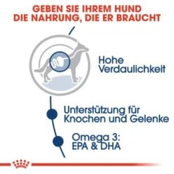 ROYAL CANIN Maxi Adult 10x140g -ROYAL CANIN Verkaufsgeschäft 440b23de4c128b8ae1977a24bcd97a26b0177694 704c1242d80d157ff6726c66cf899e61e070edef