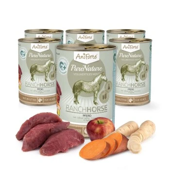Aniforte RanchHorse Pferd Mit Süßkartoffeln 6 X 400 G 4 Aniforte RanchHorse Pferd Mit Süßkartoffeln 6 X 400 G – Bild 2