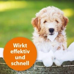 Ardap Anti Zecken Shampoo Für Hunde 250ml -ROYAL CANIN Verkaufsgeschäft 45234aab493187b4f025c9c1611ba91401852a61 1289723 de DE 011c29b51870fd299b578444e9341eb4fefc30b304XMpl