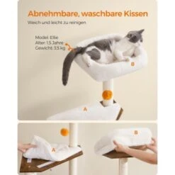 FEANDREA Kratzbaum Mit Croomer Braun -ROYAL CANIN Verkaufsgeschäft 47d0b3925cfaeb666d35f7ee3984913541c8c087 1651635 de DE 88f22557a14da5cca647f95ef4949dafa54896c7B6UNIS