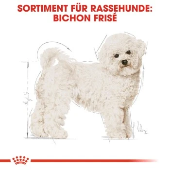 ROYAL CANIN Bichon Frisé Adult 1,5 Kg 7 ROYAL CANIN Bichon Frisé Adult 1,5 Kg – Bild 5
