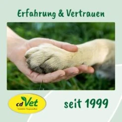CdVet EnergyUp 450g -ROYAL CANIN Verkaufsgeschäft 4a176b03b4ab590e354de99dc1cb9c967e9a4b12 1667440 de DE d650bdda4d7bf1b92f4f6fc1b781381a15c0d65dhz1m5X
