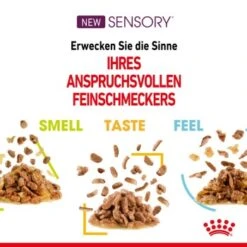ROYAL CANIN SENSORY Smell In Gelee Für Wählerische Katzen 12x85g -ROYAL CANIN Verkaufsgeschäft 4a632532d23d065e189b82401db5c561b6749e74 bbe7e159ee2cfcc0155771b211da953377ec5c40