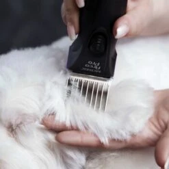 Moser Schermaschine Arco Pro -ROYAL CANIN Verkaufsgeschäft 4a8923d4e135d6dcdc4b5babae8a3f589e005869 01419b78963226934274d63a024e8d91d3673041